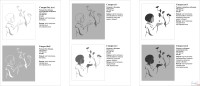 Пескоструйные рисунки - каталог изображений для художественного матирования стекла